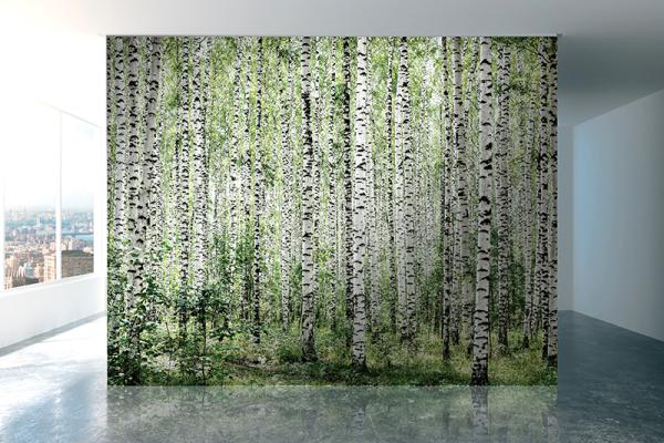 Bjørkeskog tapet vår av Illux