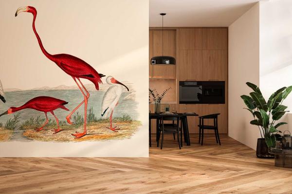 Flamingo birds av Illux