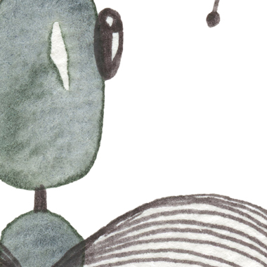 Diptera av Lise Søgaard