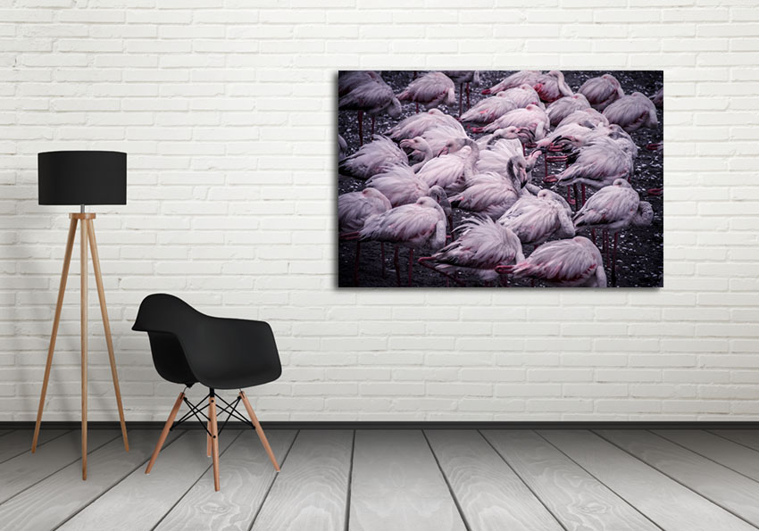 Flamingo Cluster av Mikkel Beiter