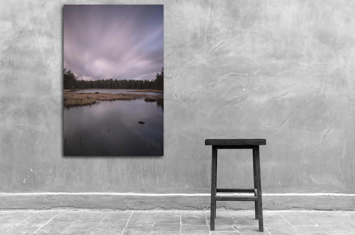 The Tree Line av Mikkel Beiter