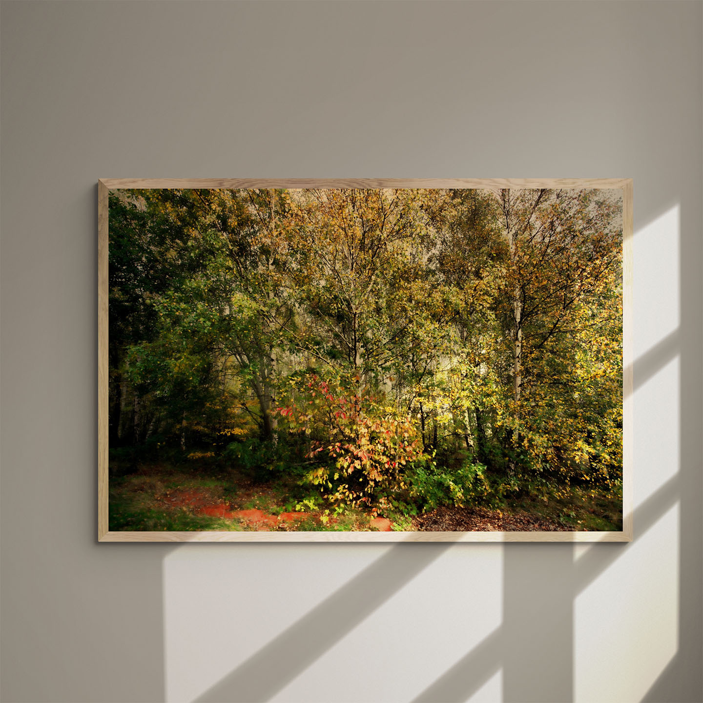 Forest av Gustavo Orensztajn