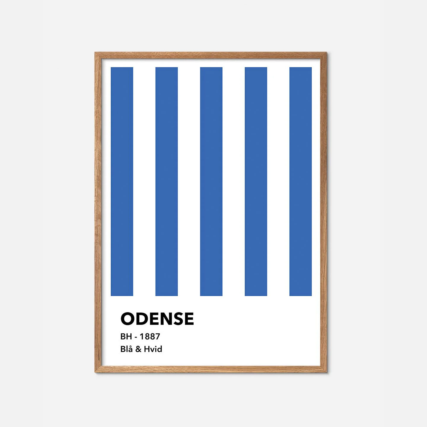 Odense – Blå og Hvid av Olé Olé