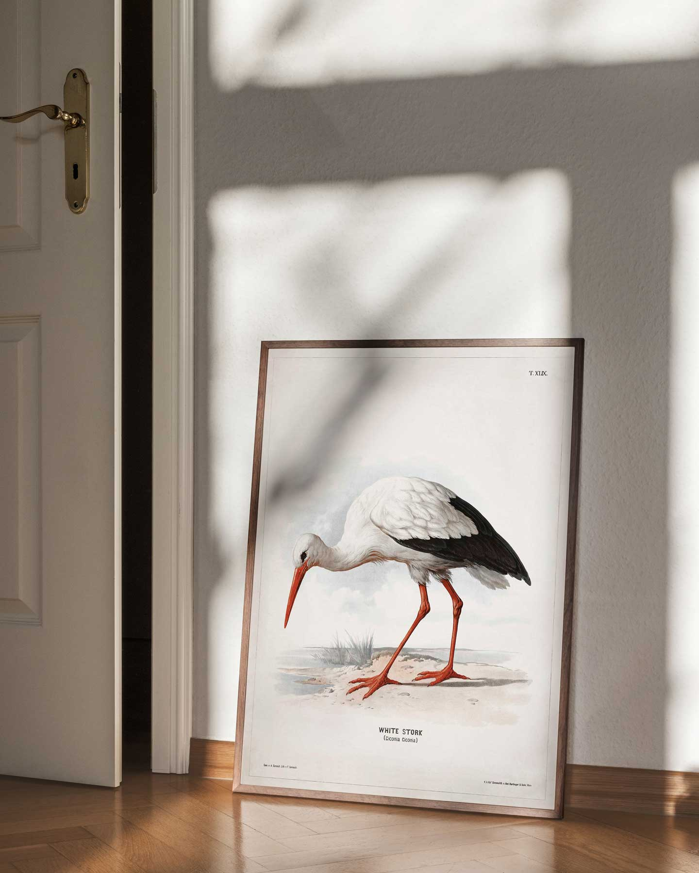 White Stork av Vintage Vista Designs