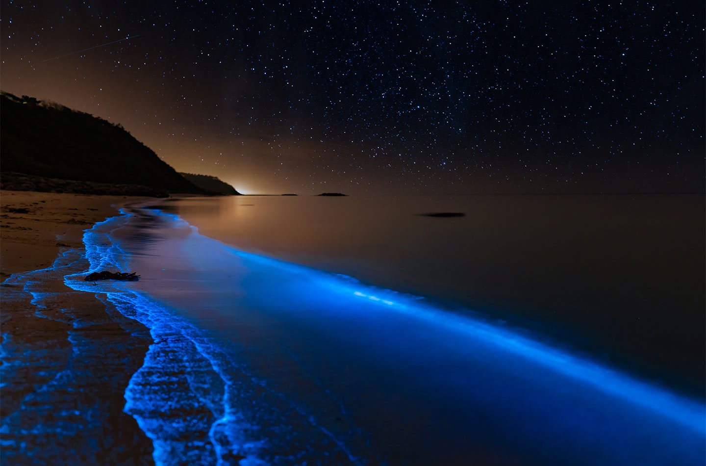 Bioluminescence at the danish coastline av Daniel Faisst