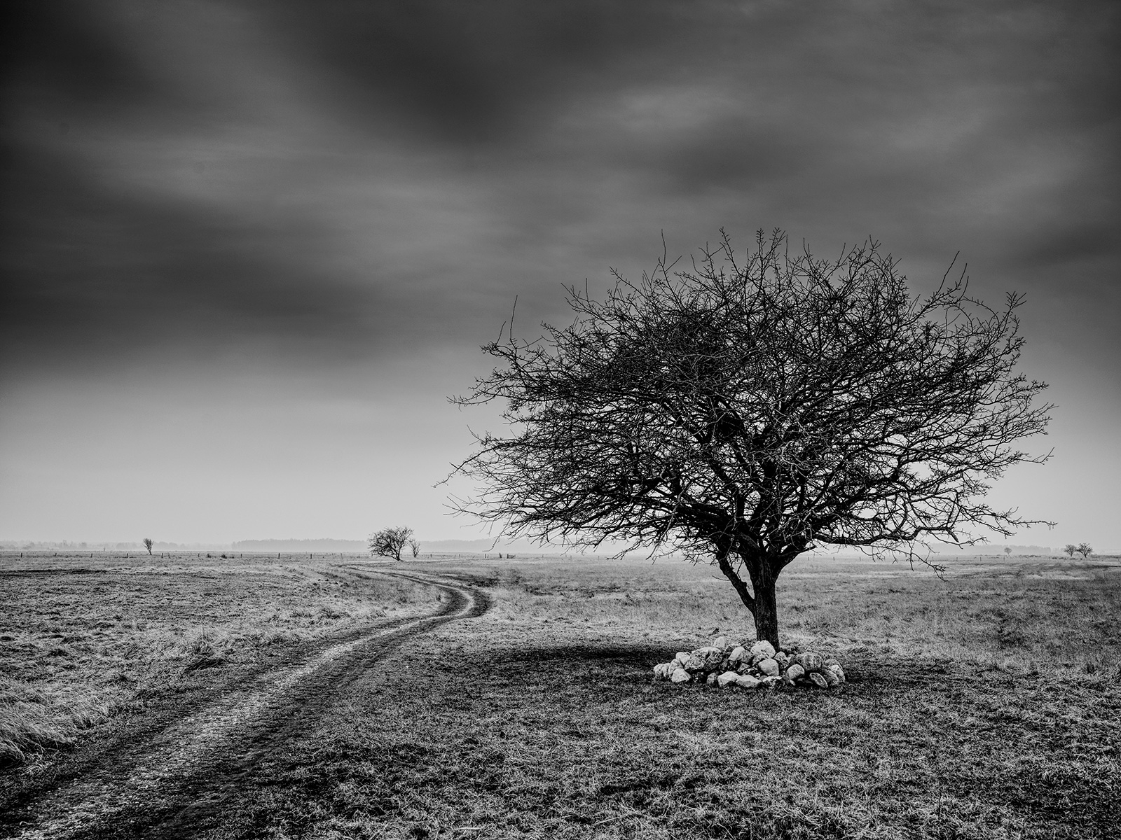 Side of the Road av Jakob Evers