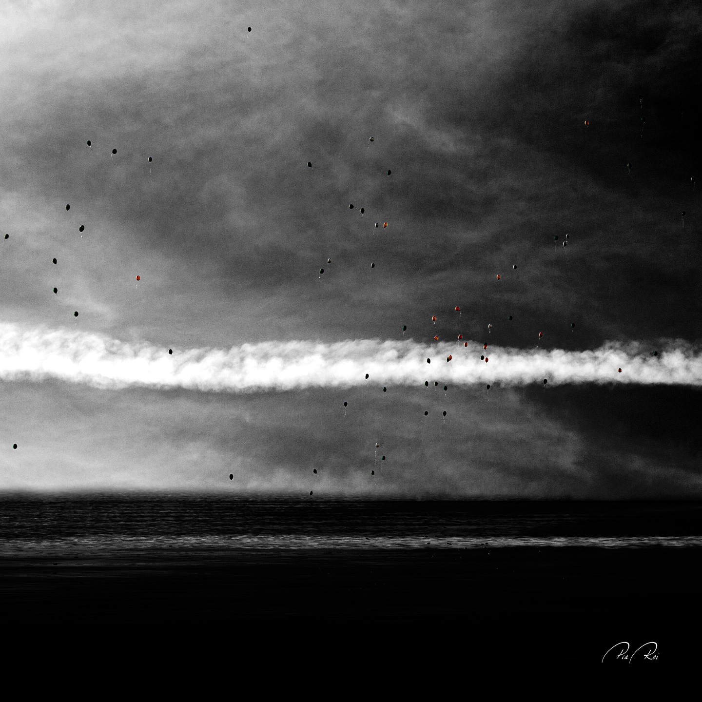 Carried by the wind av Pia Roi