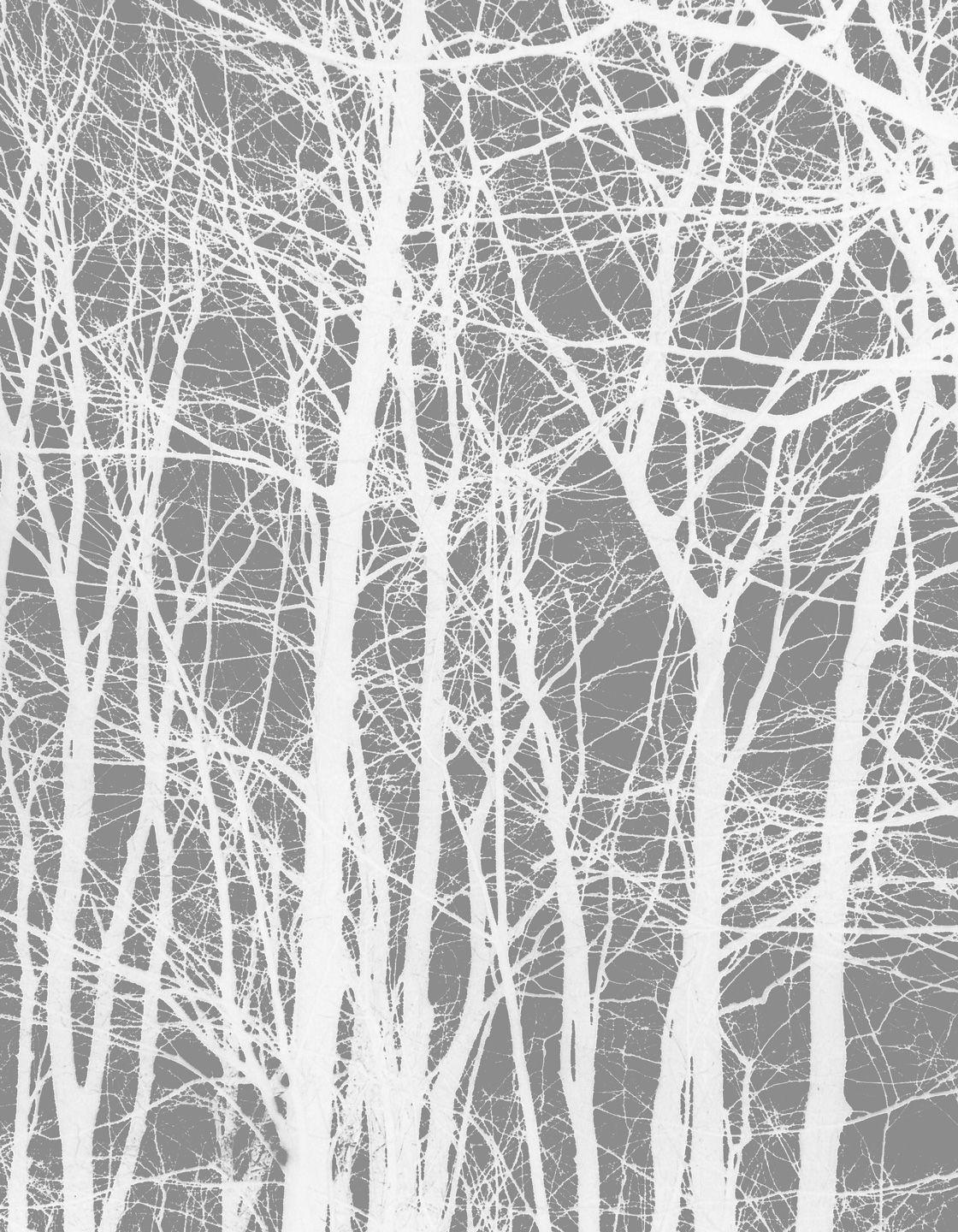 Cherrytree grey av Kirsten Stigsgaard