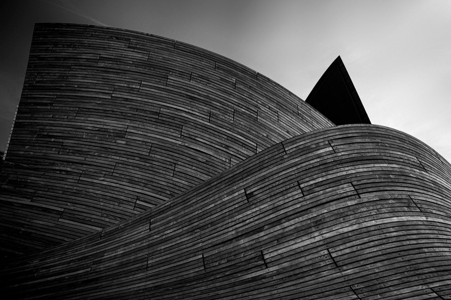 Curves av Gustavo Orensztajn