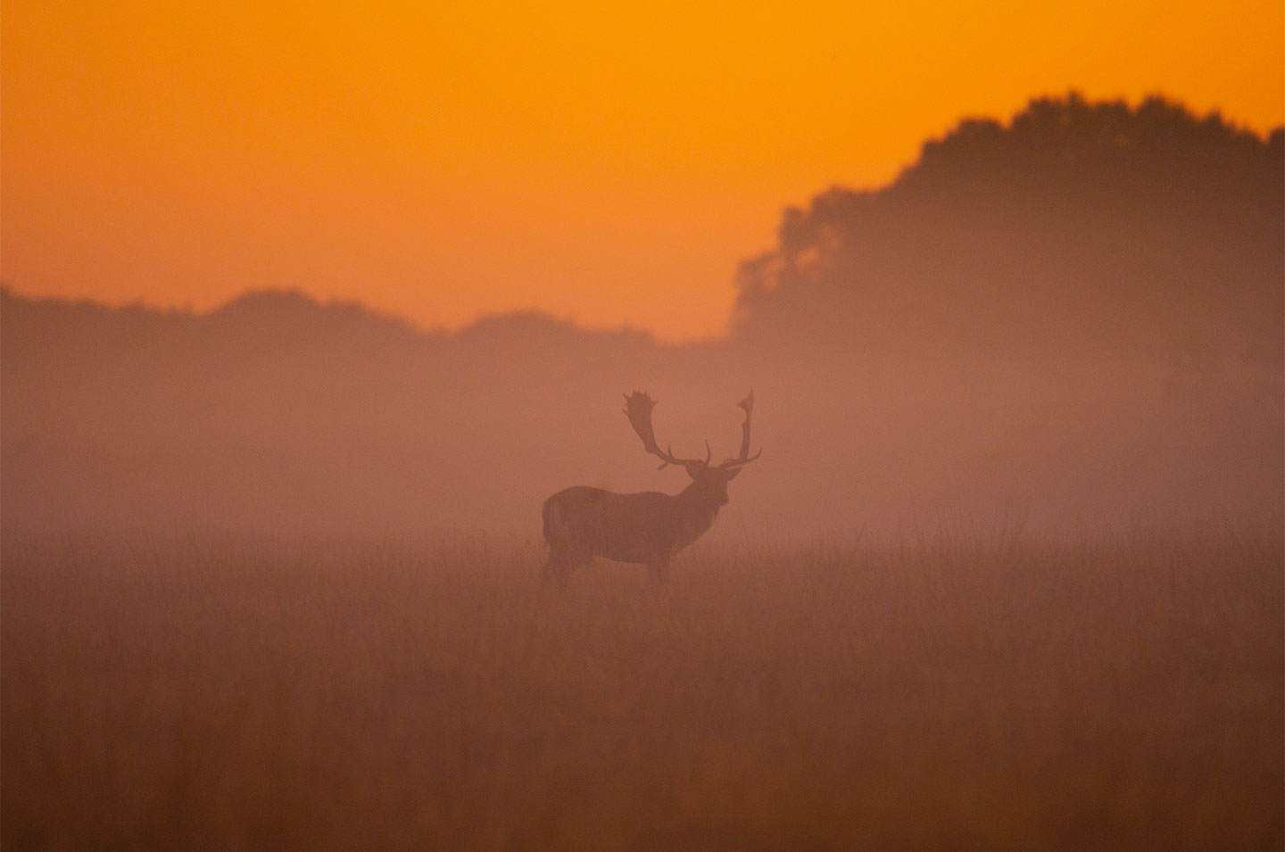 Dawning of a new day av Daniel Faisst