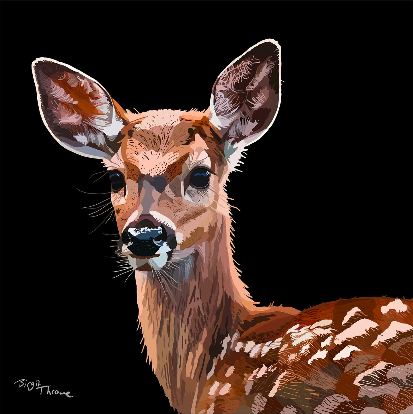 Deer av Birgit Thrane