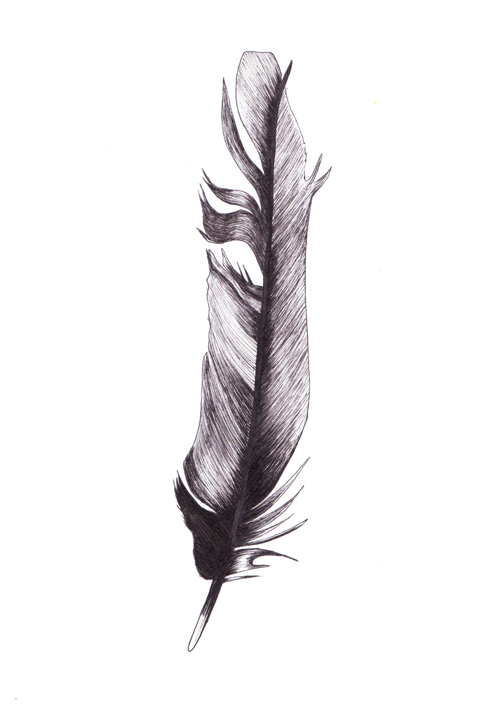 Feather av MyRo Graphics