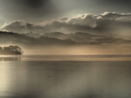 Fog av Bytraberg
