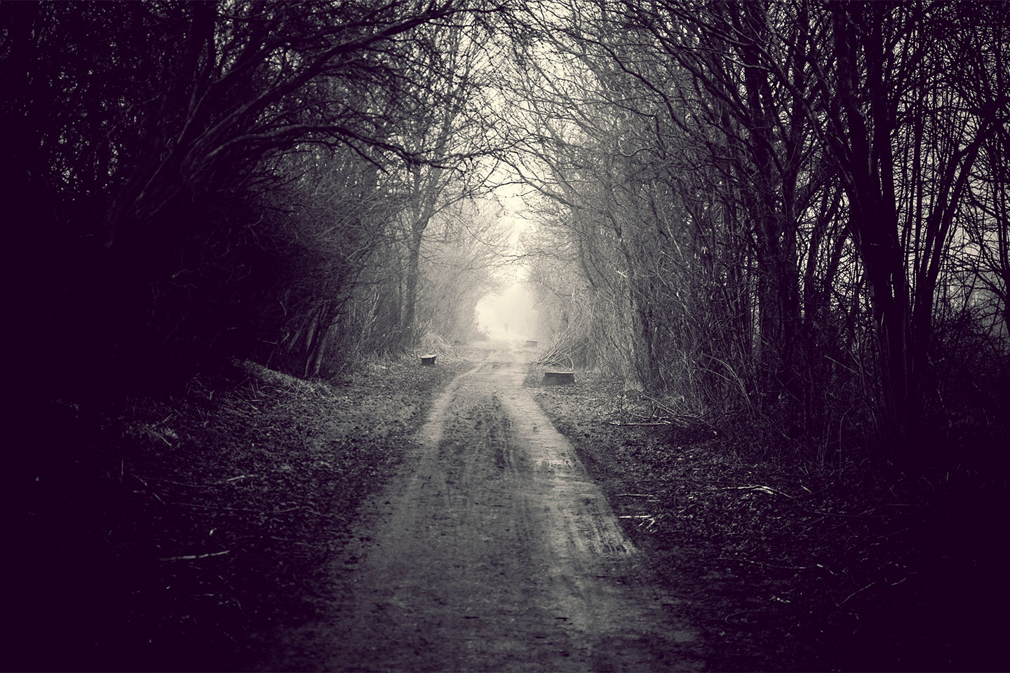 Foggy path av Henrik Hansen