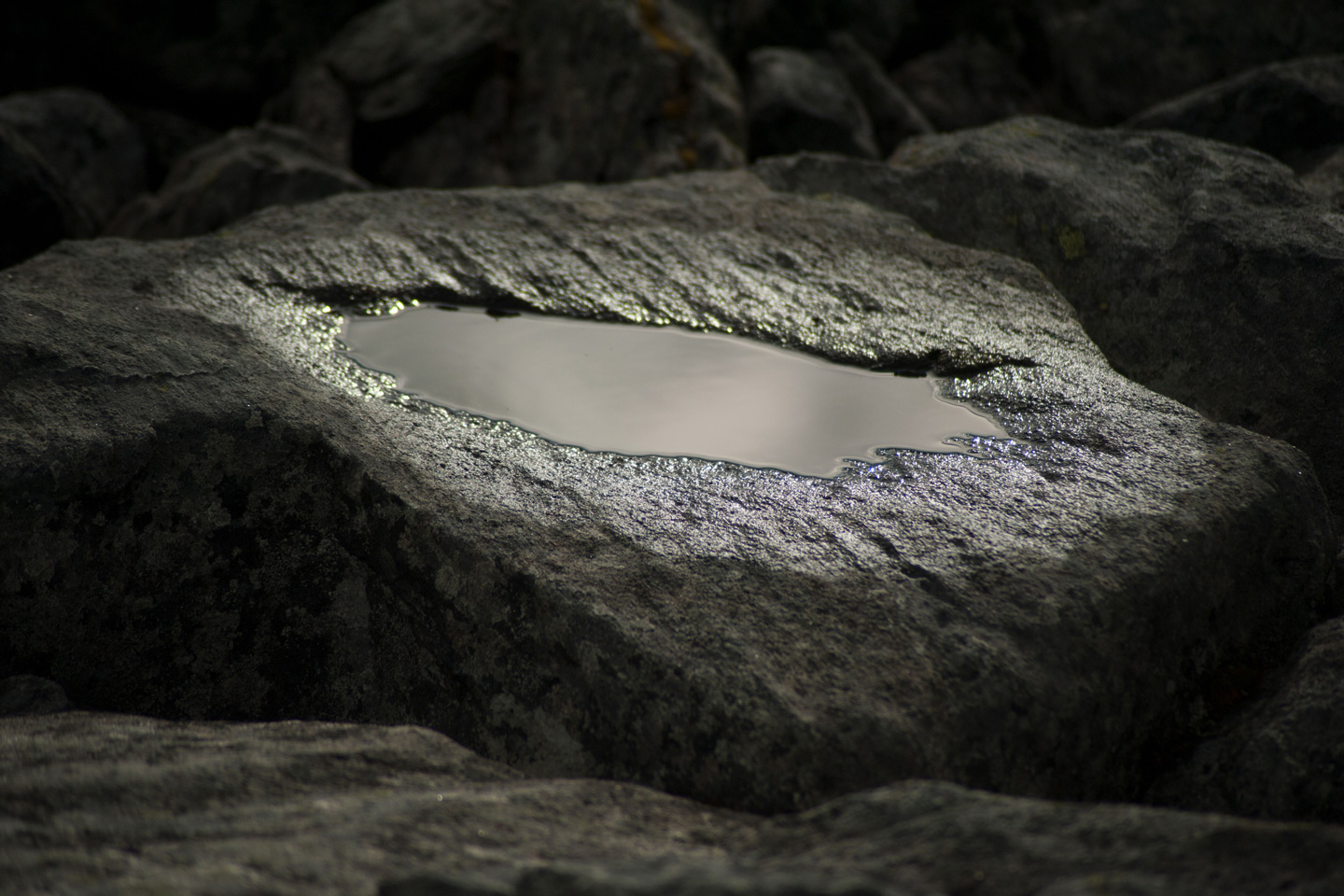H2O av Iguan Design