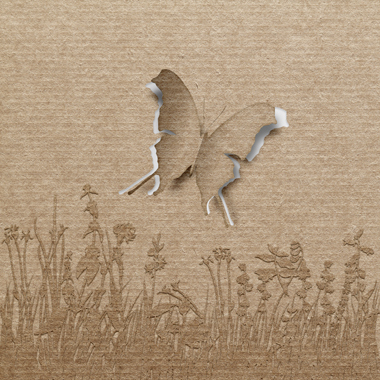 Butterfly av Jakub Stodulski