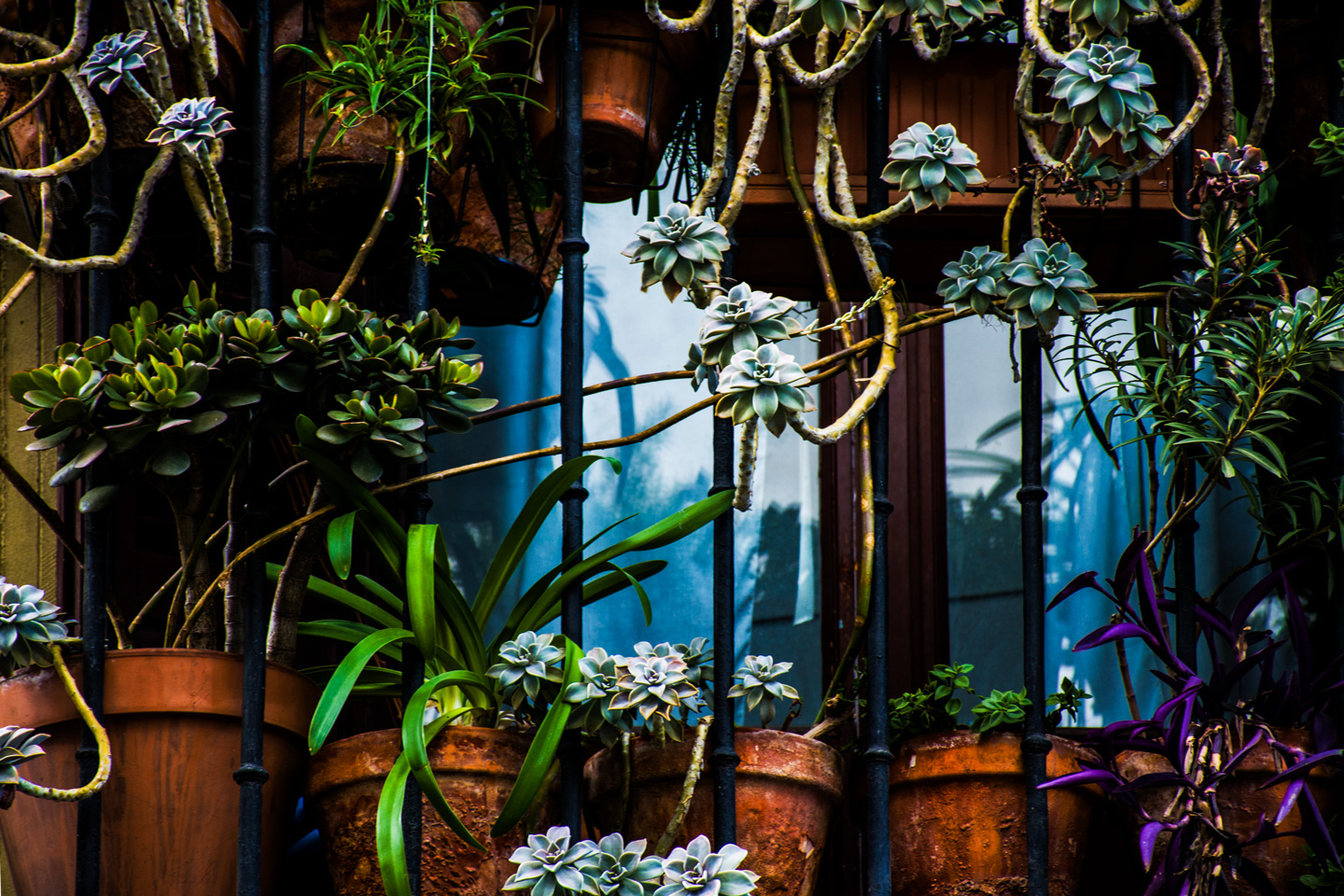 Madrid Balcony av Kirsten Stigsgaard