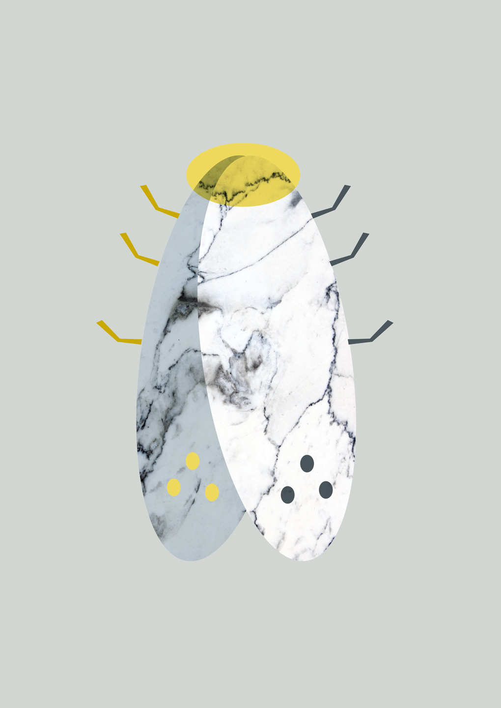 Marbel moth av MyRo Graphics