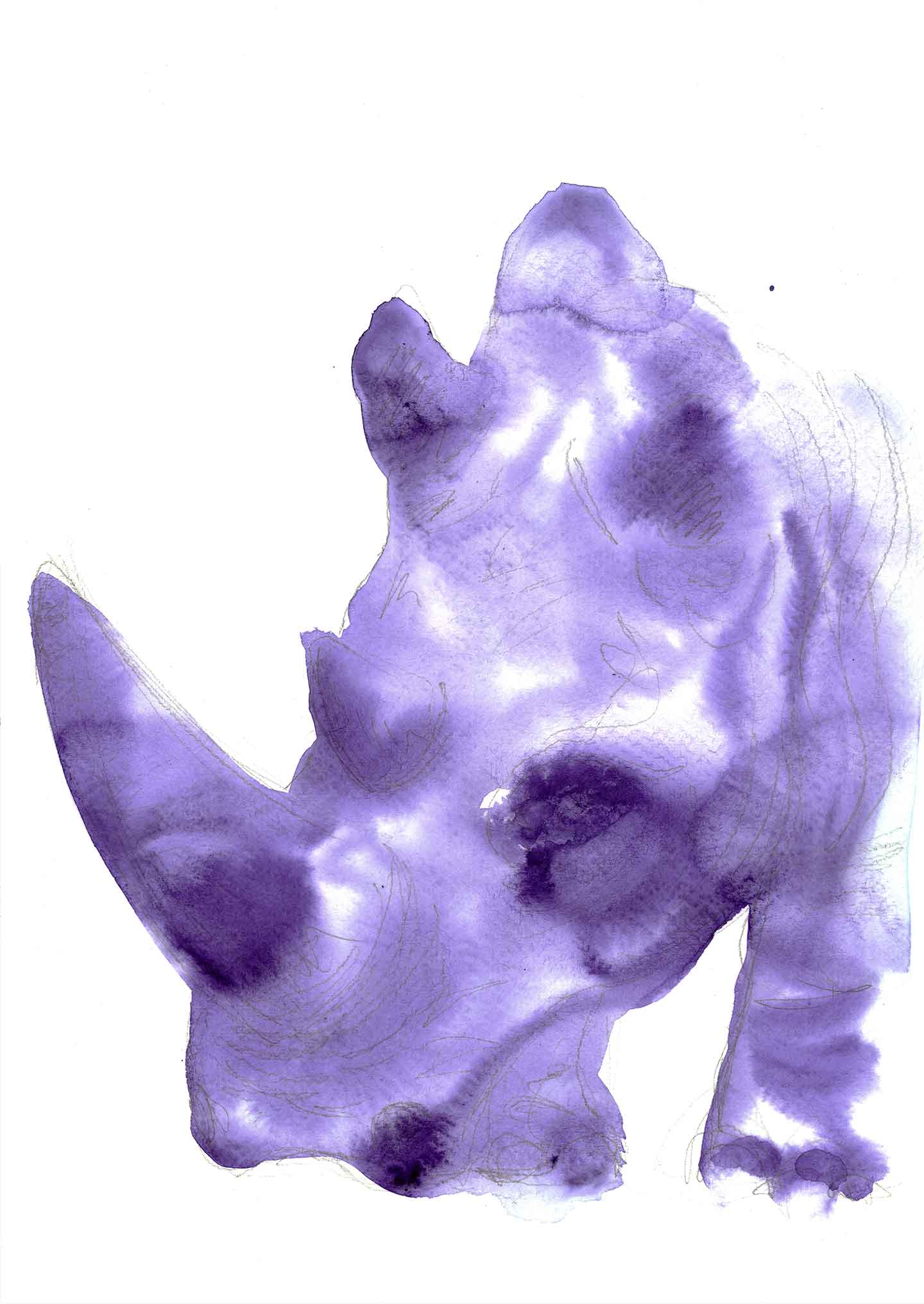 Rhino av Tina Seirup Nielsen