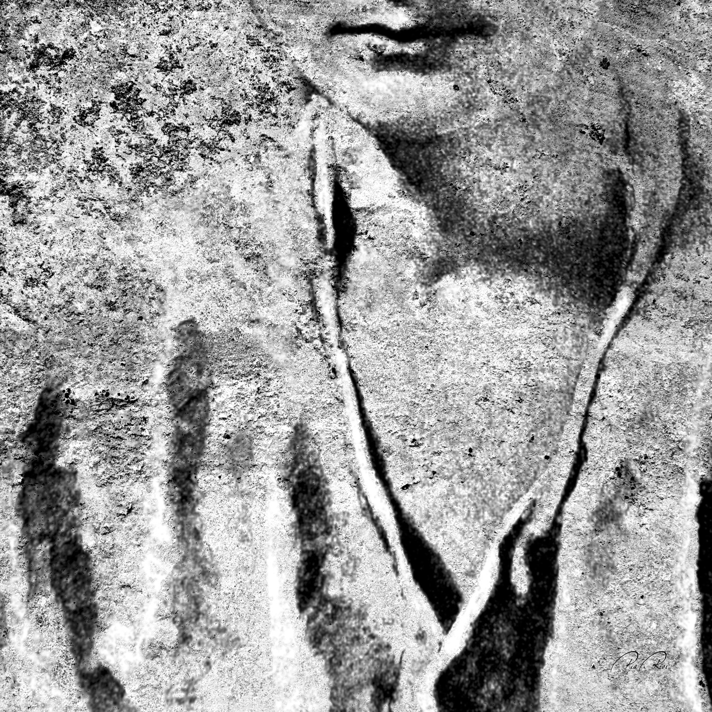 Nobody is made of stone av Pia Roi