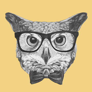 Ordinary Owl av Illux
