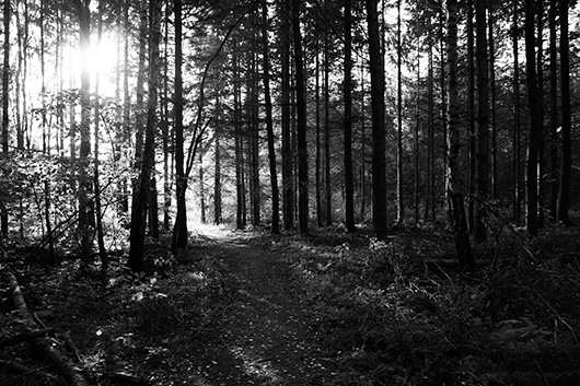 Path of light av Kirsten Stigsgaard