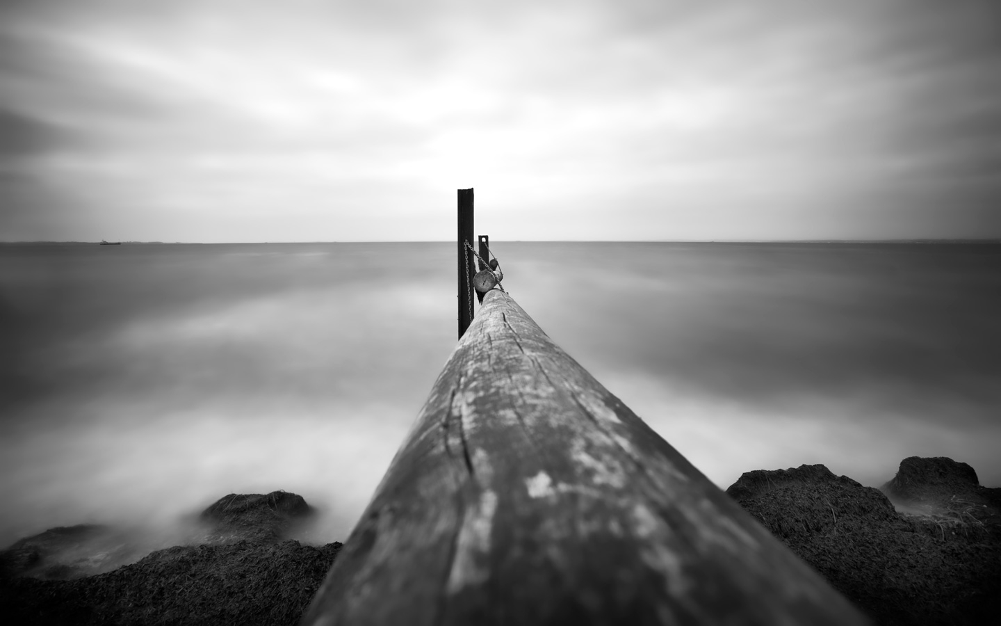 Poles av Gustavo Orensztajn
