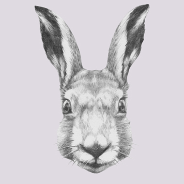Ready Steady Rabbit av Illux