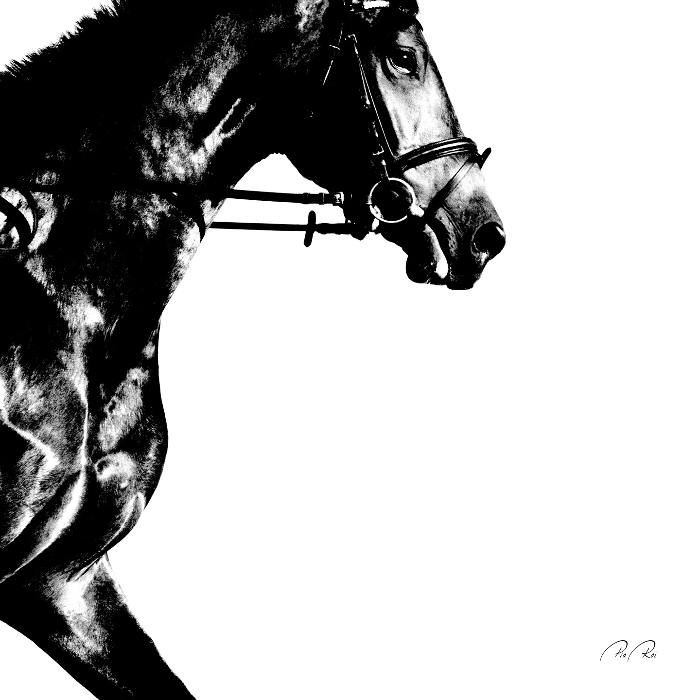 Running horse av Pia Roi