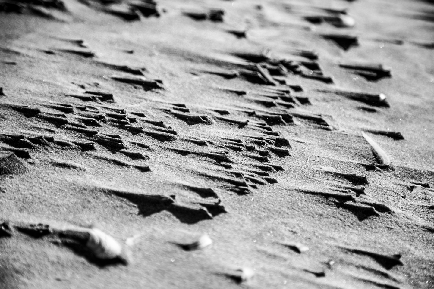 Sand Sails av Andreas Mørck