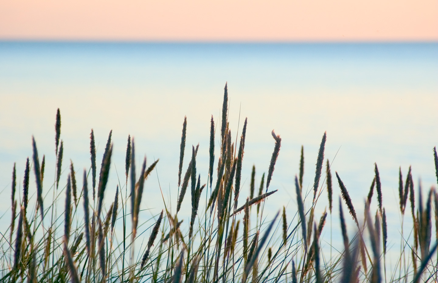 Summer beach av Kirsten Stigsgaard