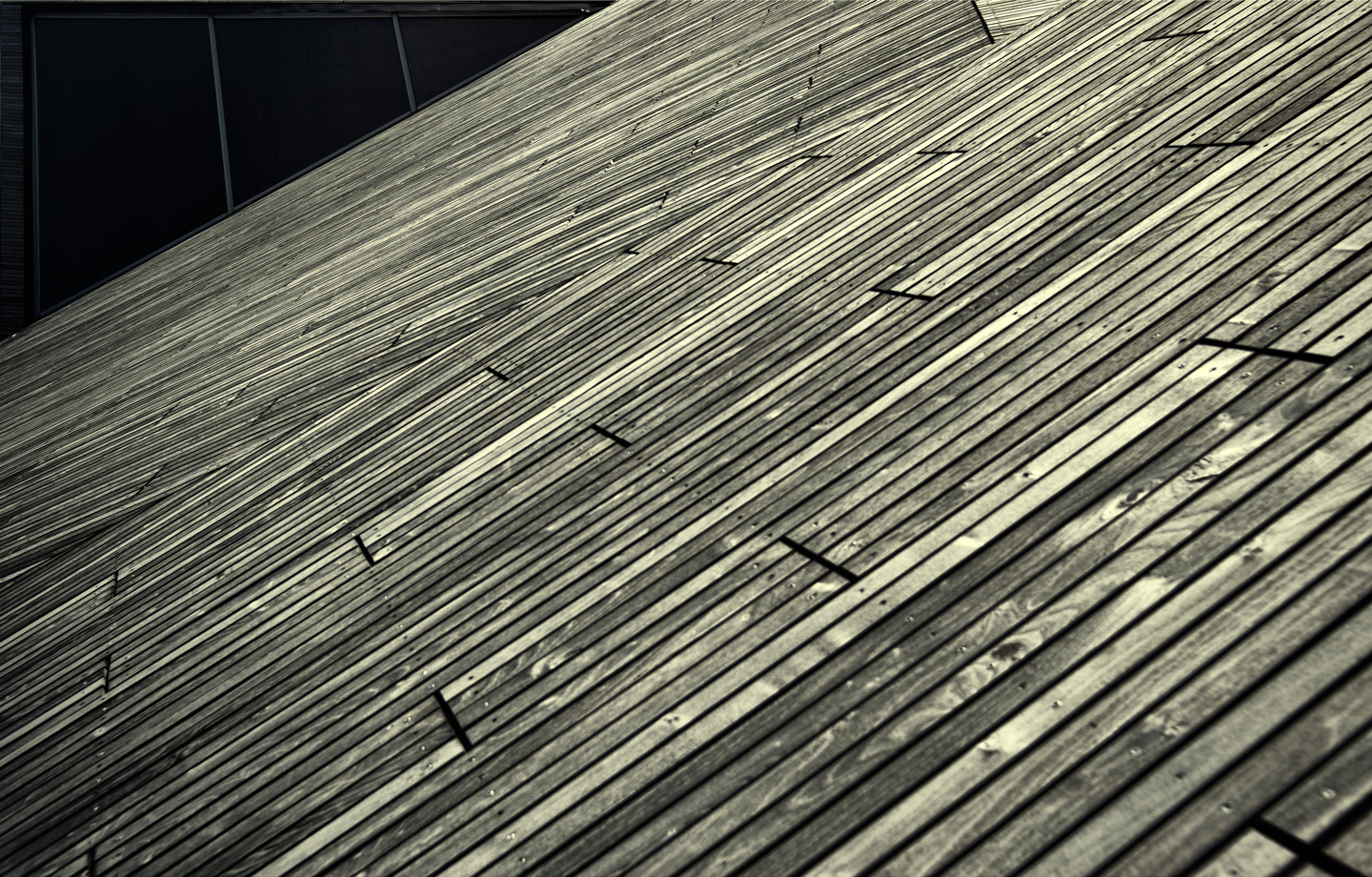 Lines av Gustavo Orensztajn