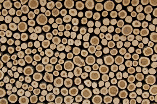 Wooden av Kirsten Stigsgaard